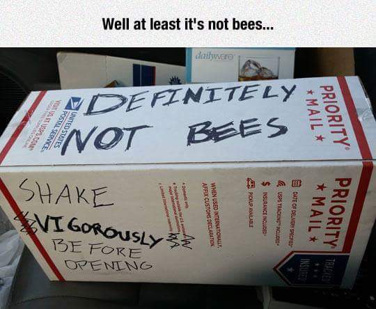 not_bees.jpg